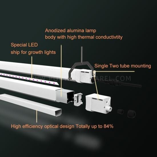 Linear Top grow light 30W*2  indoor Hydroponics & Greenhouse full spectrum