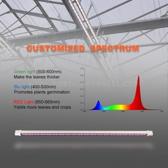 Linear Top grow light 30W*2  indoor Hydroponics & Greenhouse full spectrum