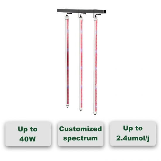 Interlight 2.8umol/J PPE full spectrum LED grow Light fixture for indoor & Greenhouse Solution