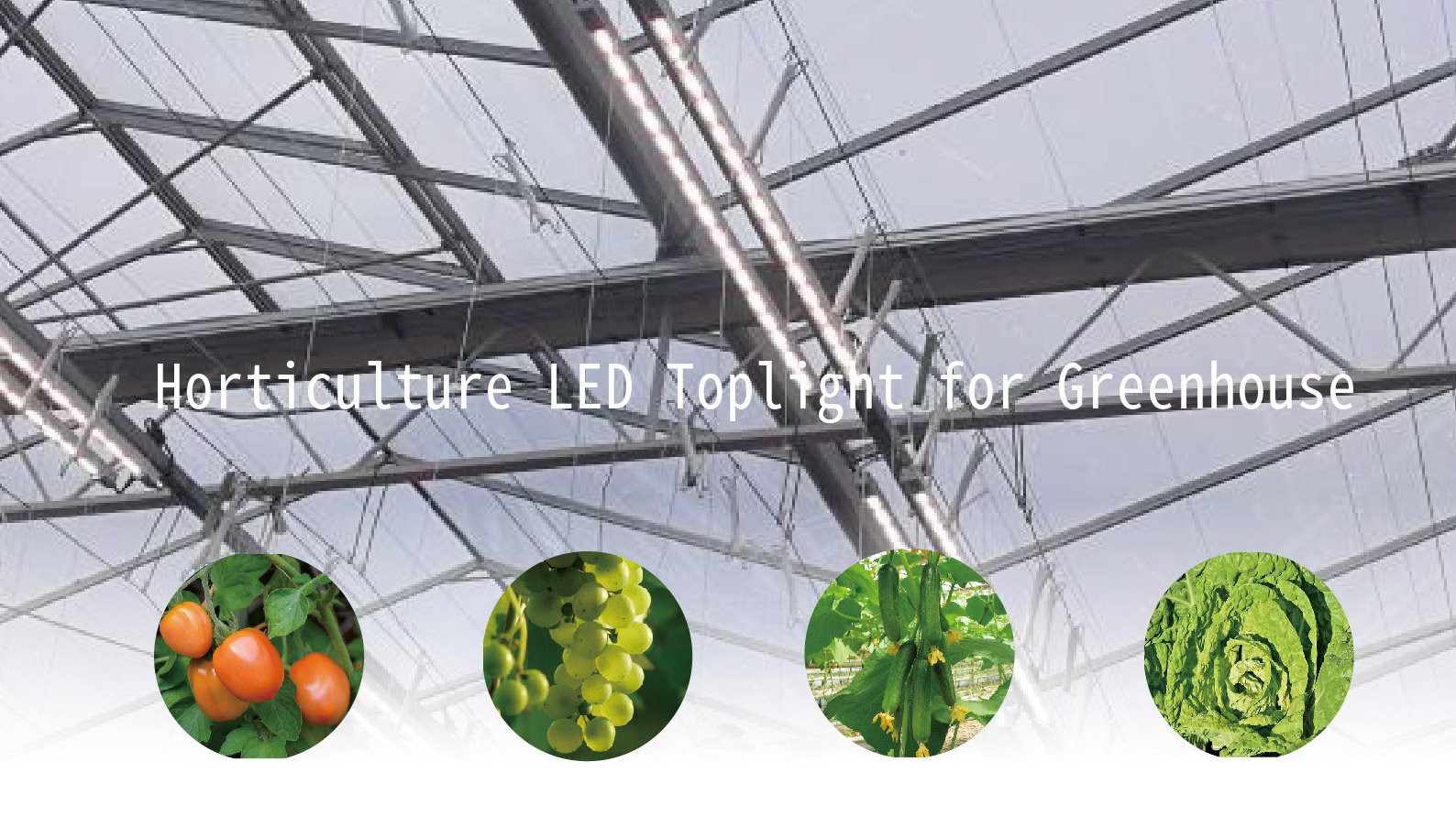 Linear Toplight LED Light fixture for indoor & Greenhouse Solution
